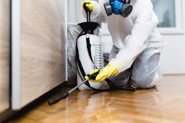Best Best Pest Control Companies  in Wood Ridge, NJ