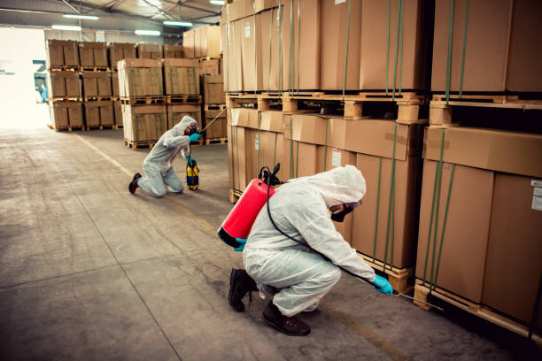 Best Termite Control Services  in Wood Ridge, NJ
