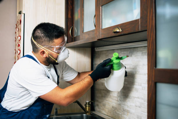 Best Flea Control Services  in Wood Ridge, NJ