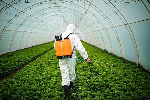 Best Commercial Pest Control Services  in Wood Ridge, NJ