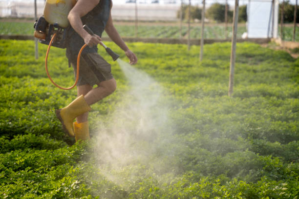 Best Commercial Pest Control Services  in Wood Ridge, NJ