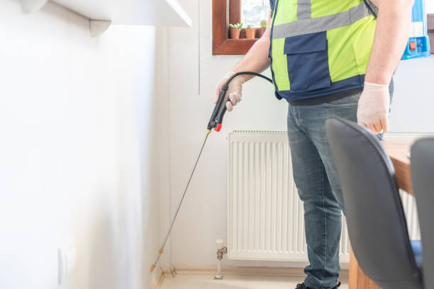 Flea Control Services in Wood Ridge, NJ