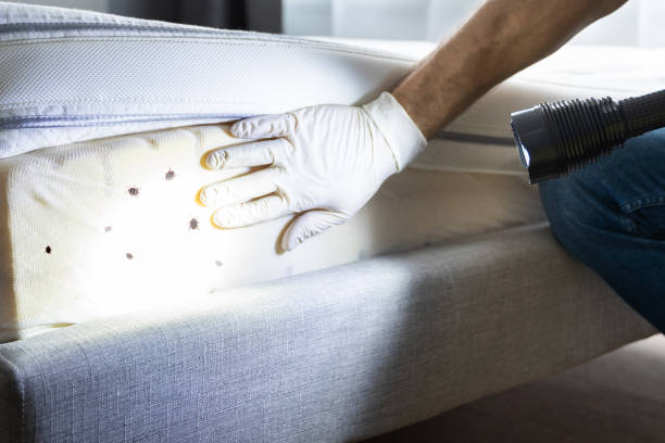  Wood Ridge, NJ Pest Control Pros