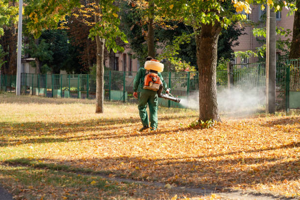 Best Ant Control Services  in Wood Ridge, NJ