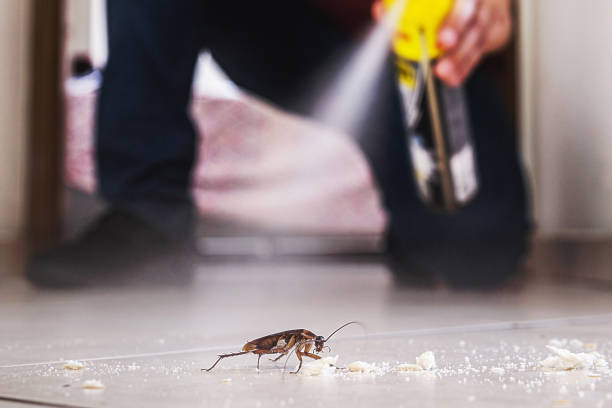 Best Pest Removal Services  in Wood Ridge, NJ