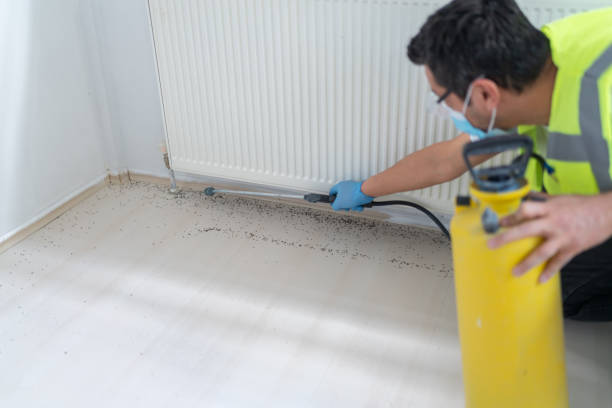 Best Pest Prevention Services  in Wood Ridge, NJ