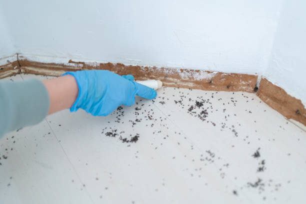Best Emergency Pest Control  in Wood Ridge, NJ
