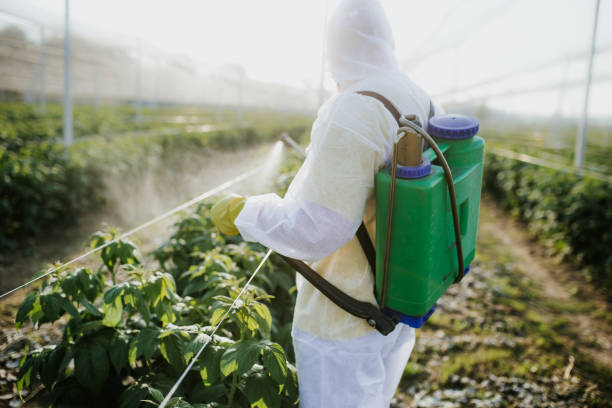 Professional Pest Control in Wood Ridge, NJ